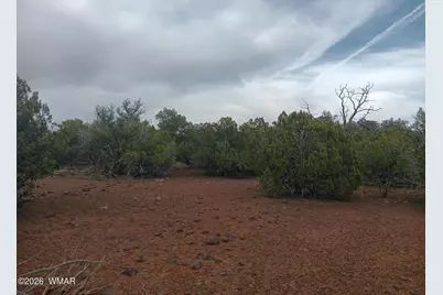 28 N8412, Concho, AZ 85924 - Photo 2