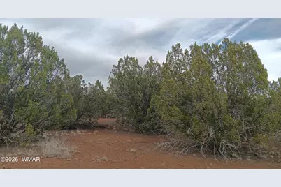 28 N8412, Concho, AZ 85924 - Photo 4