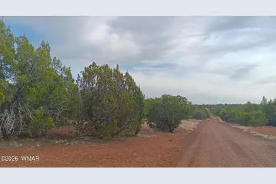 28 N8412, Concho, AZ 85924 - Photo 6