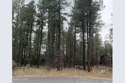 2738 Timber Ridge Lane, Pinetop, AZ 85935 - Photo 1