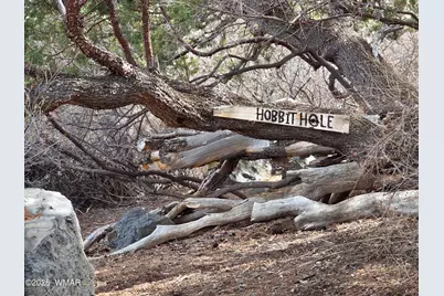 41205 Highway 261, Eagar, AZ 85925 - Photo 22