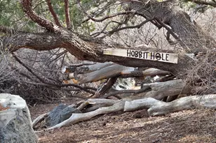 41205 Hwy 261, Eagar, AZ 85925 - Photo 22