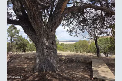 41205 Highway 261, Eagar, AZ 85925 - Photo 6