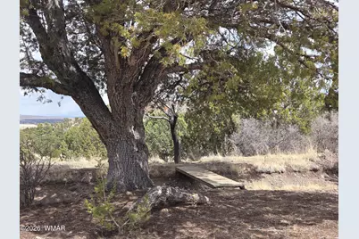 41205 Highway 261, Eagar, AZ 85925 - Photo 24