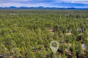 2868 Park Cir, Pinetop, AZ 85935 - Photo 20