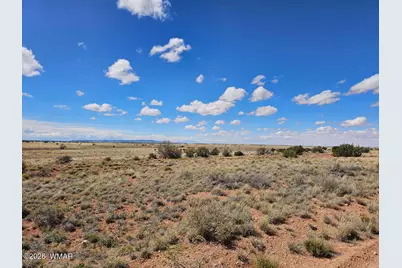 Tbd Chev Canyon Ranch #3 Lot 461, Heber, AZ 85928 - Photo 12