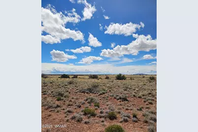 Tbd Chev Canyon Ranch #3 Lot 461, Heber, AZ 85928 - Photo 10