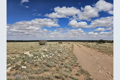 Tbd Chev Canyon Ranch #3 Lot 461, Heber, AZ 85928 - Photo 14