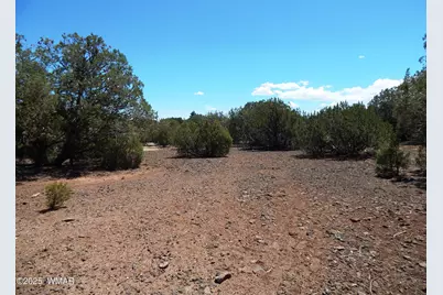 8337 Navajo Drive, Show Low, AZ 85901 - Photo 6