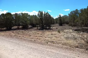 8337 Navajo Dr, Show Low, AZ 85901 - Photo 1