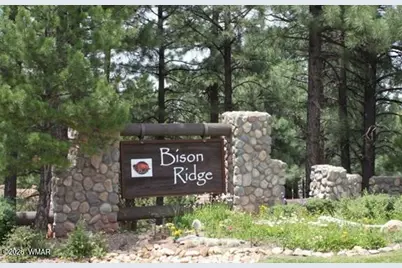 2300 N Cottage Trail, Show Low, AZ 85901 - Photo 22