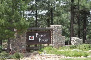 2300 N Cottage Trail, Show Low, AZ 85901 - Photo 22
