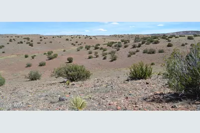 Lot 863 Acr N8497, Concho, AZ 85924 - Photo 6