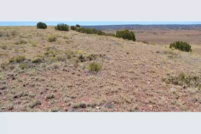 Lot 863 Acr N8497, Concho, AZ 85924 - Photo 12