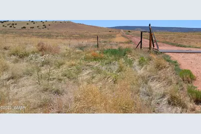 Lot 863 Acr N8497, Concho, AZ 85924 - Photo 18