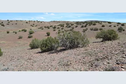 Lot 863 Acr N8497, Concho, AZ 85924 - Photo 4