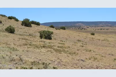 Lot 863 Acr N8497, Concho, AZ 85924 - Photo 8