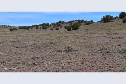 Lot 863 Acr N8497, Concho, AZ 85924 - Photo 2
