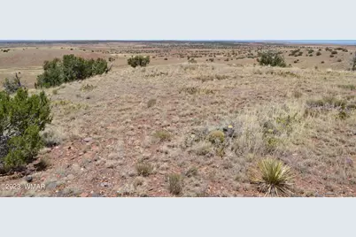 Lot 863 Acr N8497, Concho, AZ 85924 - Photo 14