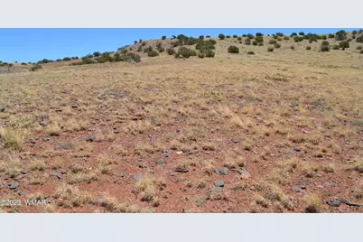 Lot 863 Acr N8497, Concho, AZ 85924 - Photo 10