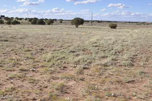 9261 Butler Trail, Snowflake, AZ 85937 - Photo 28