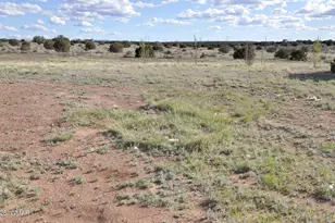 9261 Butler Trail, Snowflake, AZ 85937 - Photo 30