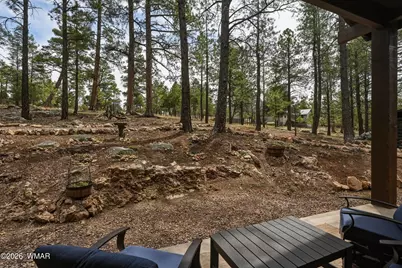 3427 Apache Drive, Happy Jack, AZ 86024 - Photo 36