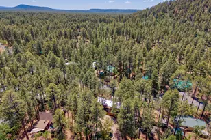1785 E Sierra Pine Loop, Pinetop, AZ 85935 - Photo 22