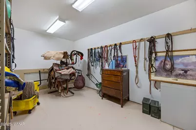 2332 Hall Drive, Lakeside, AZ 85929 - Photo 58