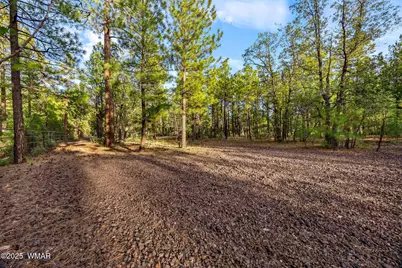 2332 Hall Drive, Lakeside, AZ 85929 - Photo 62