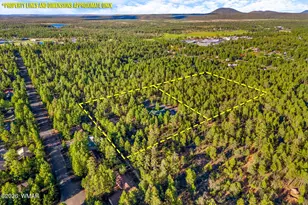 2332 Hall Dr, Lakeside, AZ 85929 - Photo 78
