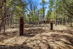 2366 Cedar Ave, Lakeside, AZ 85929 - Photo 28