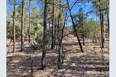 931/901 E Cedar Ridge Run, Show Low, AZ 85901 - Photo 36