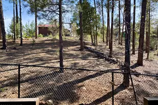 931 E Cedar Ridge Run, Show Low, AZ 85901 - Photo 26
