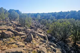 9383 Bald Eagle Rd, Show Low, AZ 85901 - Photo 24