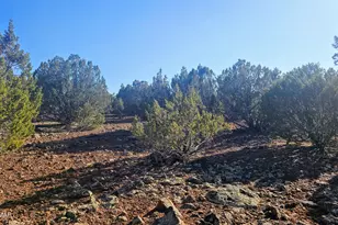 9383 Bald Eagle Rd, Show Low, AZ 85901 - Photo 18