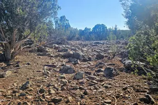 9383 Bald Eagle Rd, Show Low, AZ 85901 - Photo 8