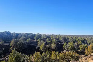 9383 Bald Eagle Rd, Show Low, AZ 85901 - Photo 26
