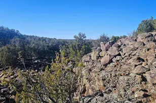 9383 Bald Eagle Rd, Show Low, AZ 85901 - Photo 10