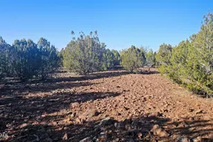 9383 Bald Eagle Rd, Show Low, AZ 85901 - Photo 28
