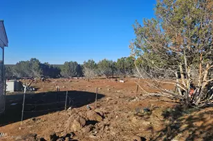 9383 Bald Eagle Rd, Show Low, AZ 85901 - Photo 34