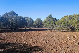 9383 Bald Eagle Rd, Show Low, AZ 85901 - Photo 30