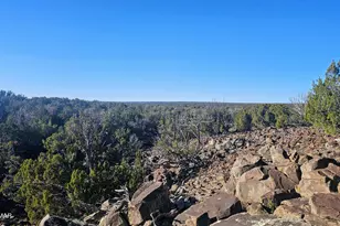 9383 Bald Eagle Rd, Show Low, AZ 85901 - Photo 12