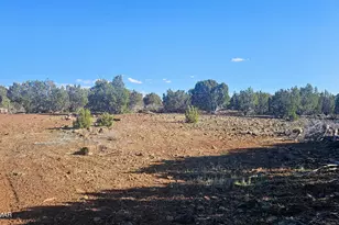 9383 Bald Eagle Rd, Show Low, AZ 85901 - Photo 2