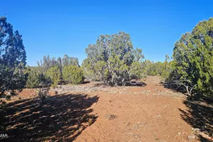 9383 Bald Eagle Rd, Show Low, AZ 85901 - Photo 20