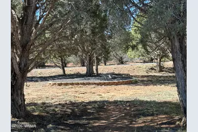 939 Mountain Trail, Show Low, AZ 85901 - Photo 32
