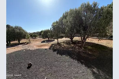 939 Mountain Trail, Show Low, AZ 85901 - Photo 8