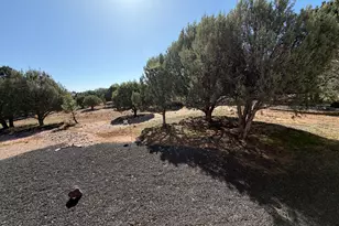 939 Mountain Trail, Show Low, AZ 85901 - Photo 8