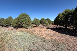 939 Mountain Trail, Show Low, AZ 85901 - Photo 18
