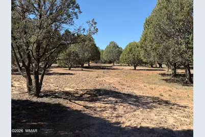 939 Mountain Trail, Show Low, AZ 85901 - Photo 30